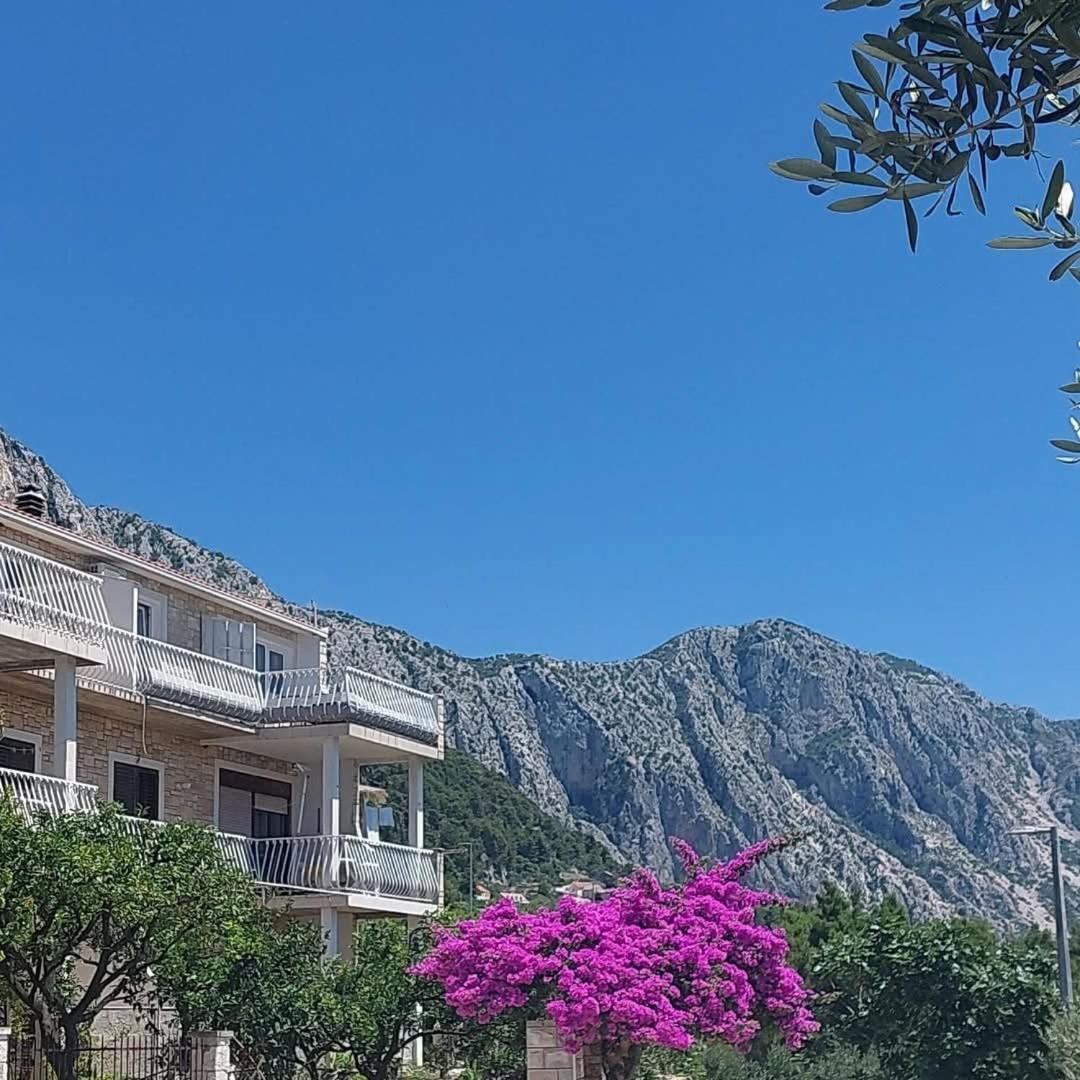Oliva Apartament